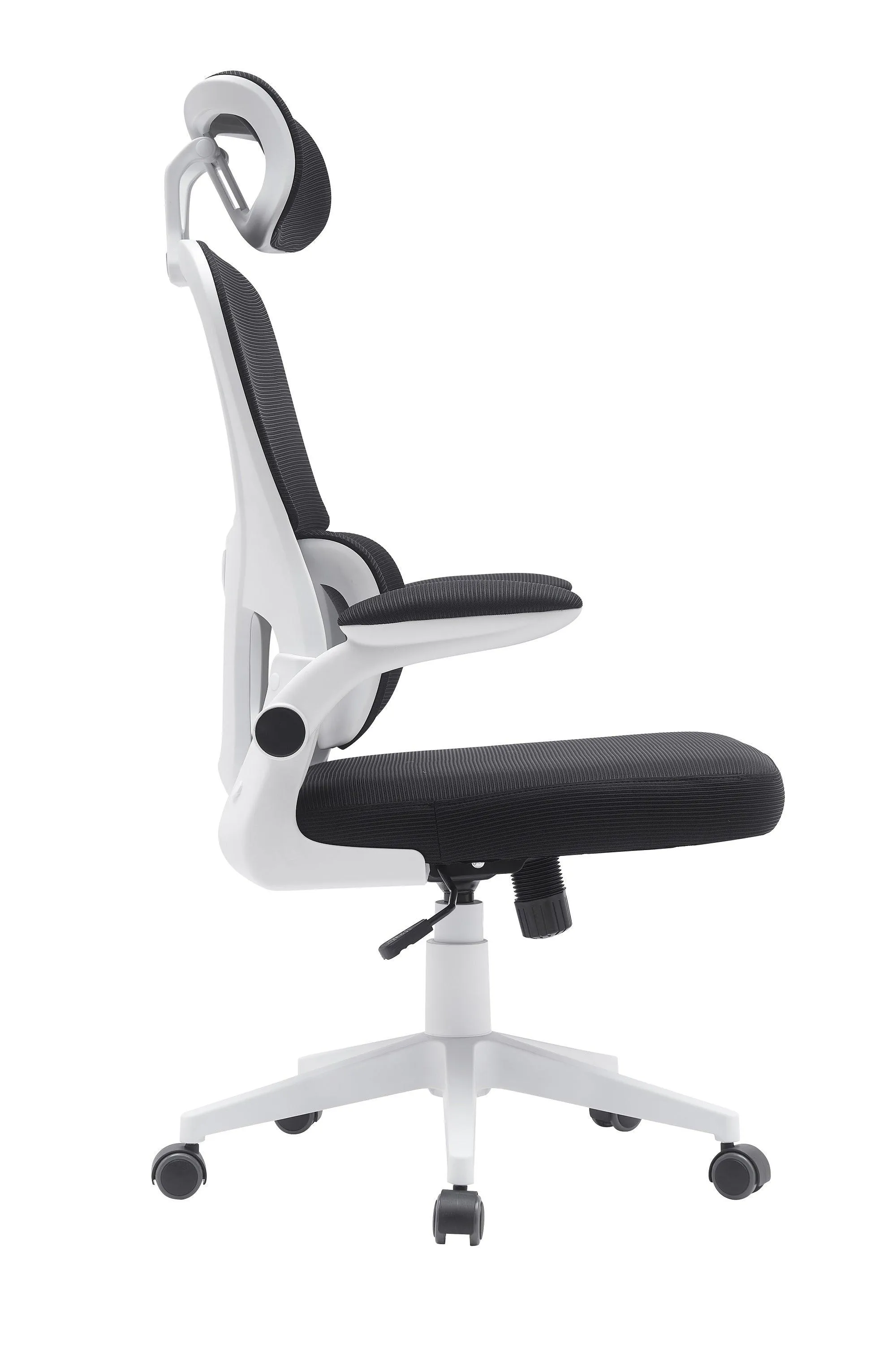 Cloud Ergonomic Mesh Office Chair